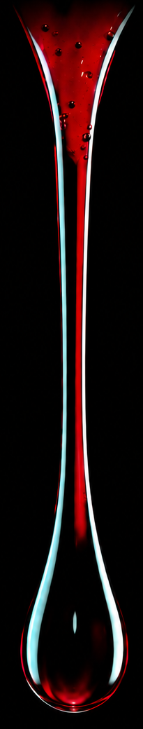 Pinga de sangue, ilustración do cartel de Ourense Black 2026